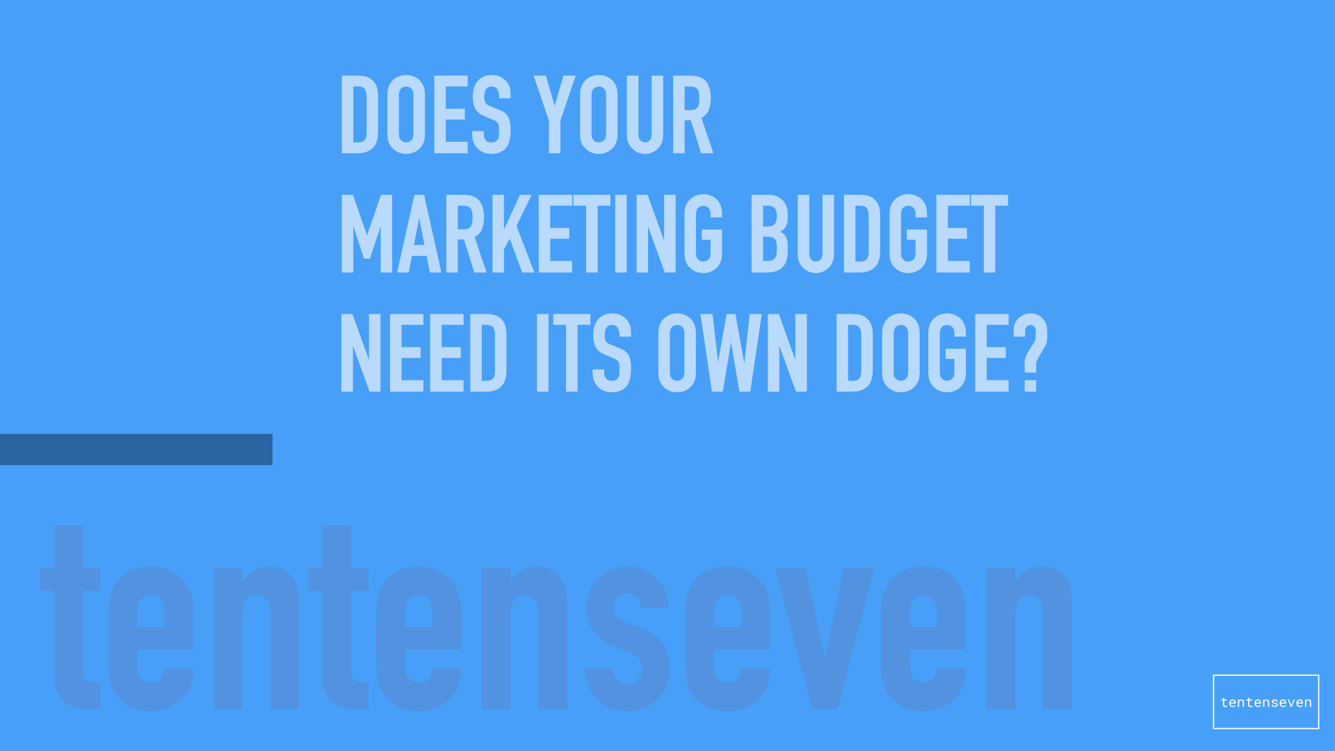 Does Your Marketing Spend Need Its Own DOGE?