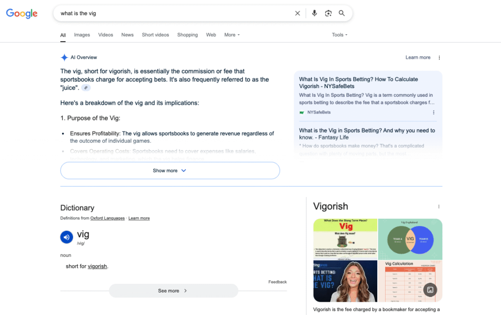 AI overview for New York what is the vig search